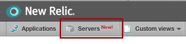 New Relic Servers tab